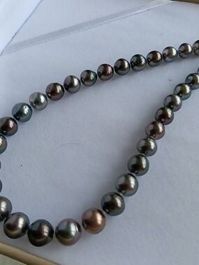 Tahitian Black Pearl Necklace - Iridescent Multi-Color